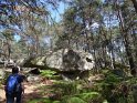 2017-06-01 15-35-09 Rando Fontainebleau DLe
